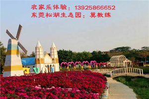 東莞泛華小貸公司相聚松湖生態(tài)園農(nóng)家樂開心一日游